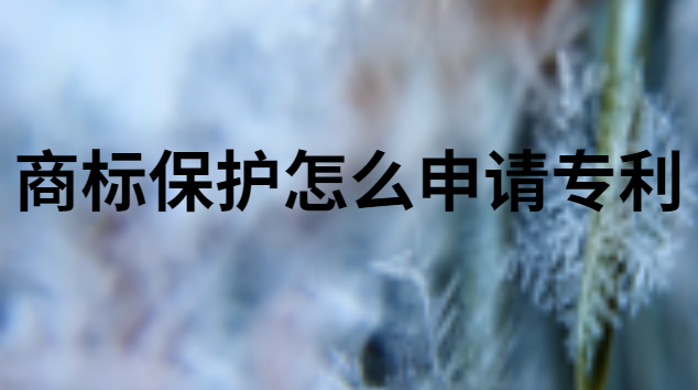 商标保护怎么申请专利