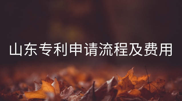 山东专利申请流程及费用