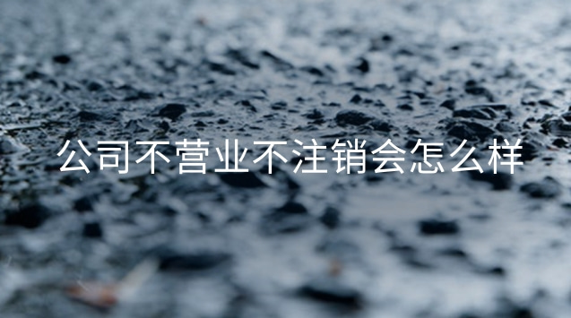 公司不运营不注销会怎么样(企业不营业要注销不)