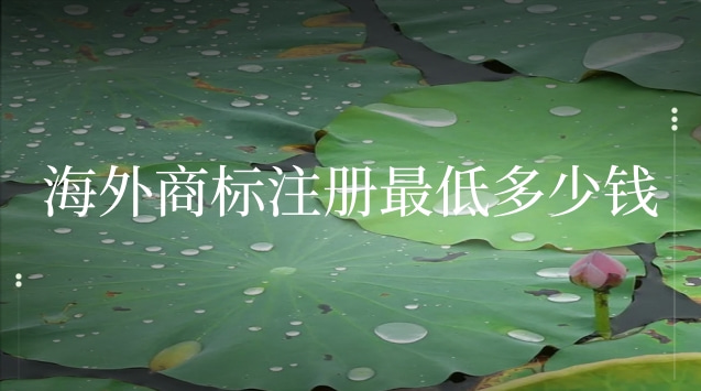 注册一个海外商标需要多少钱(海外商标注册流程及费用)