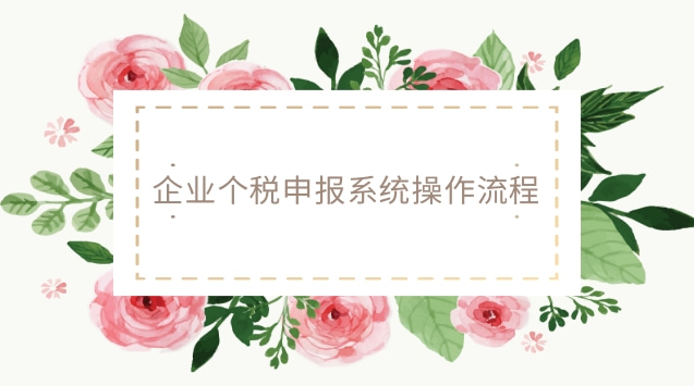企业个税系统申报操作流程(个体户个税申报的详细流程)