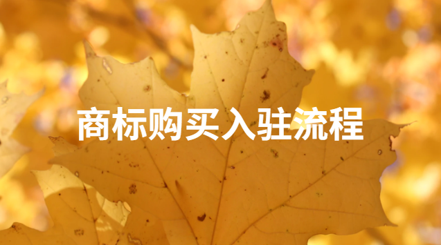 商标购买渠道(商标购买渠道一览表)